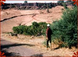 Trekking In Rajmachi Fort, Maharashtra